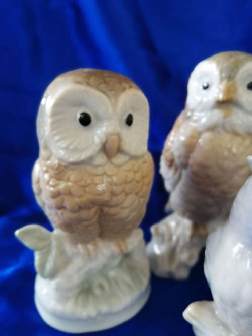 Vintage Group of China Cute Owl Figurines