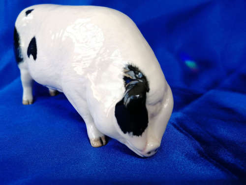 Royal Doulton Pig Gloucester Old Spot Pink & Black Gloss