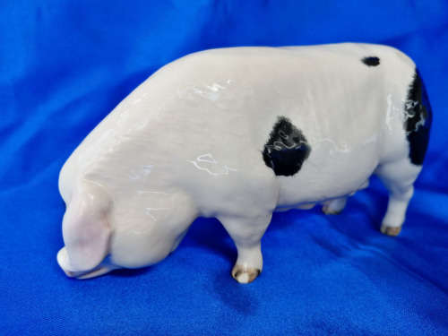 Royal Doulton Pig Gloucester Old Spot Pink & Black Gloss