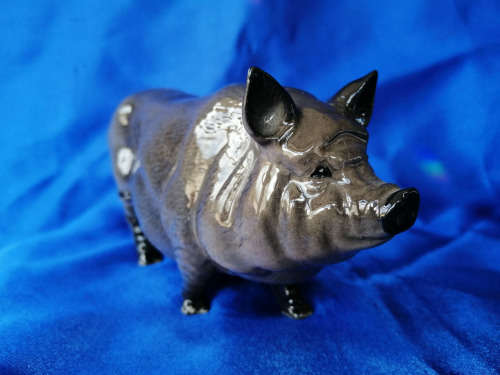 Royal Doulton Grey Vietnamese Pot Belly Pig
