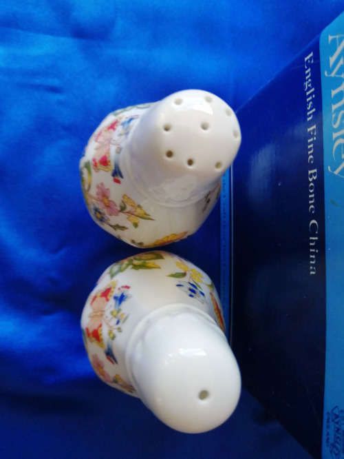 Aynsley Cottage Garden Pattern Salt and Pepper Shaker