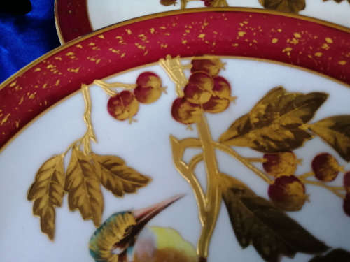 Hand Painted Gilded Porcelain Kingfisher Plates Circa 1800-1840