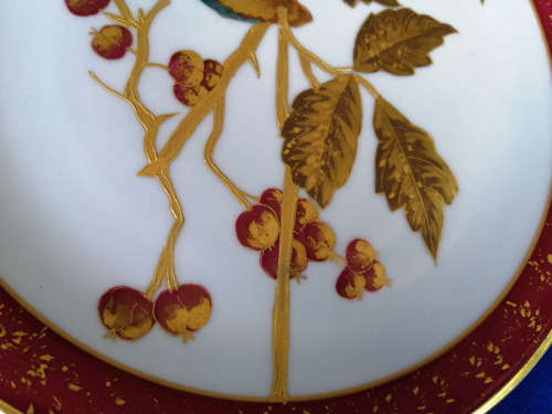 Hand Painted Gilded Porcelain Kingfisher Plates Circa 1800-1840