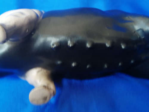 Vintage Large Black and Pink Pig *