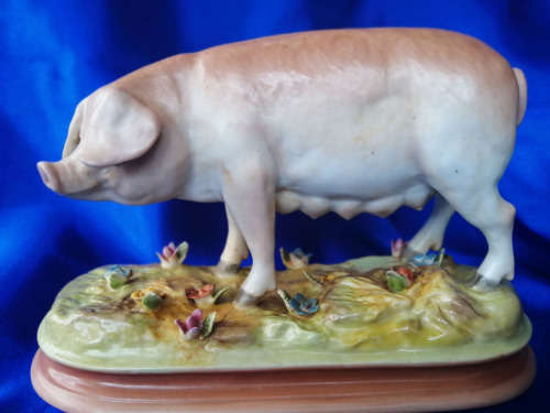 Large Porcelain Meissen Pig Figurine Stunning Detail *