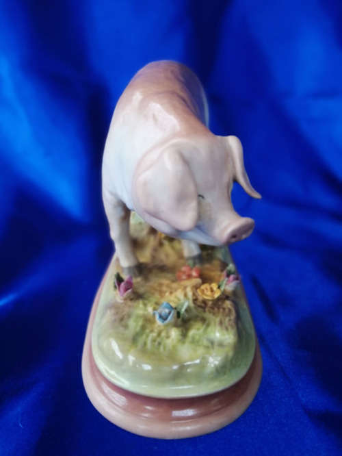 Large Porcelain Meissen Pig Figurine Stunning Detail *