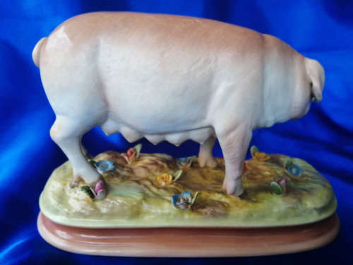 Large Porcelain Meissen Pig Figurine Stunning Detail *