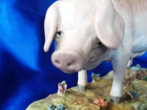 Large Porcelain Meissen Pig Figurine Stunning Detail *