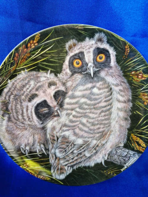 Beautiful Wedgwood China Plate The Baby Owls Series Long-eared Owl Chicks *