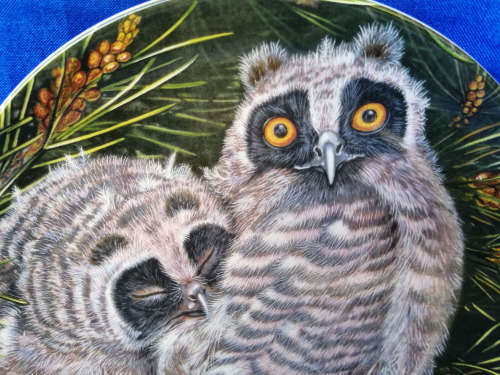 Beautiful Wedgwood China Plate The Baby Owls Series Long-eared Owl Chicks *