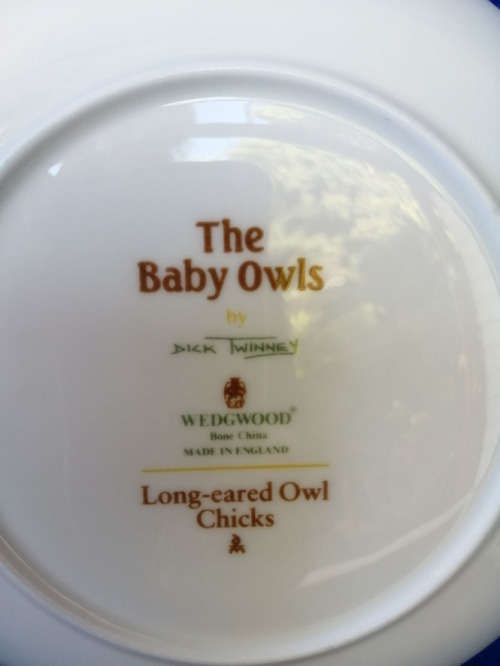 Beautiful Wedgwood China Plate The Baby Owls Series Long-eared Owl Chicks *