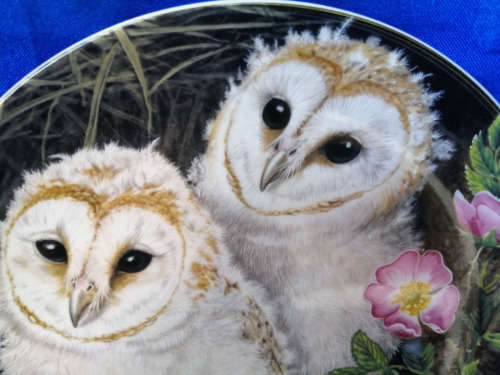 Beautiful Wedgwood China Plate The Baby Owls Series Barn Owl Chicks *