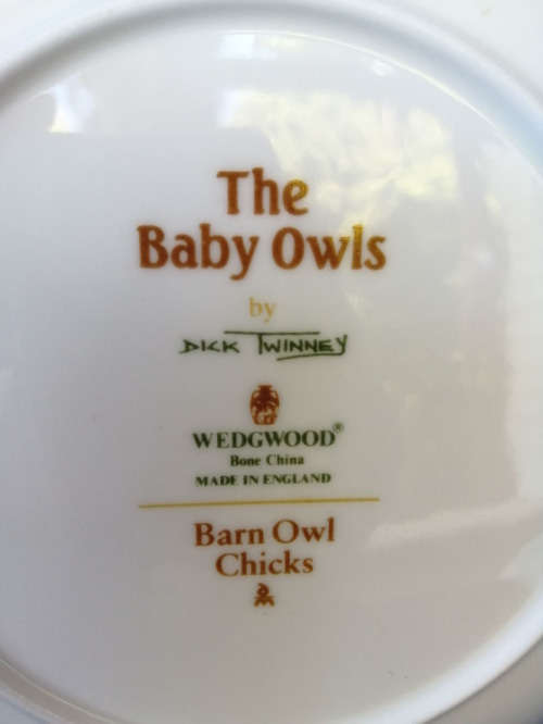 Beautiful Wedgwood China Plate The Baby Owls Series Barn Owl Chicks *