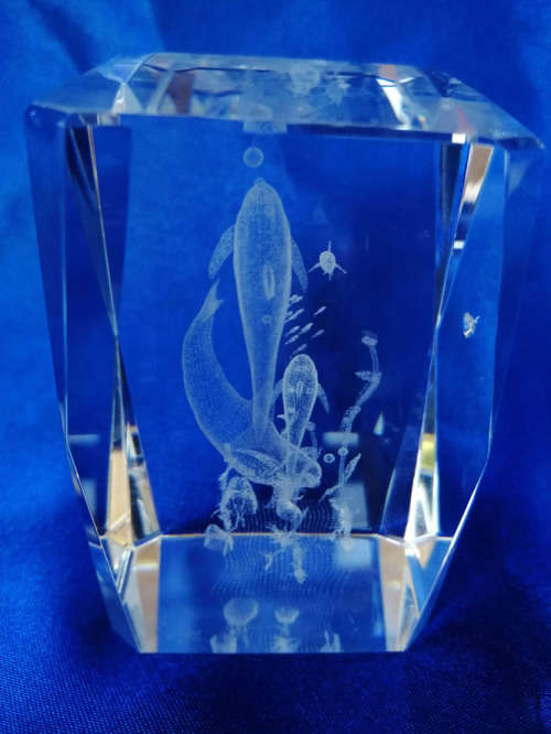3-D Glass Block with Dolphins