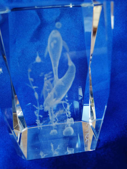 3-D Glass Block with Dolphins