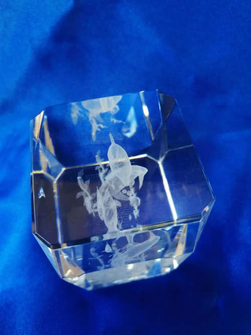3-D Glass Block with Dolphins