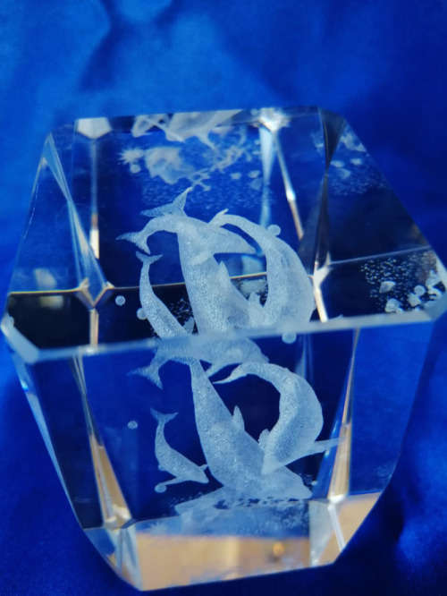 3-D Glass Block with Dolphins
