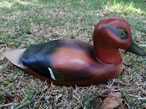 Feathers of Knysna hand made limited edition  Wooden Figurine of a Greenwinged Teal, 60 / 2000*