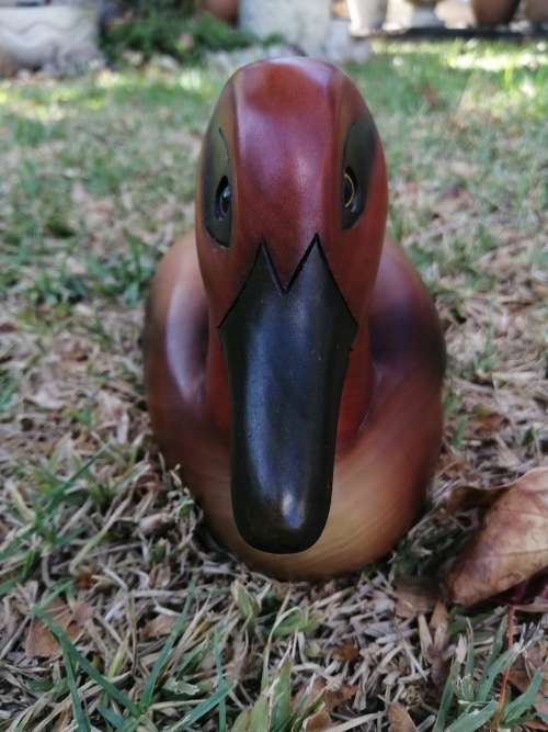 Feathers of Knysna hand made limited edition  Wooden Figurine of a Greenwinged Teal, 60 / 2000*