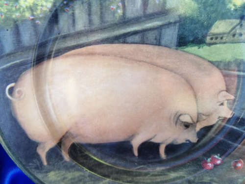 China Pig Plate Country farm made in England