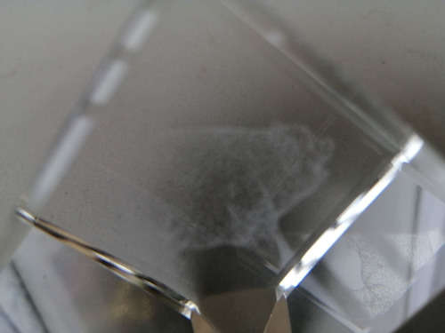 Engraved 3-D Pig Paperweight #
