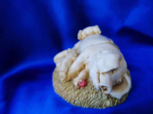 S.I.A.B English Mother Pig and Piglets secret Lid *