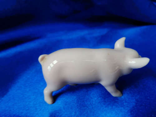 Old Porcelain German Pig *