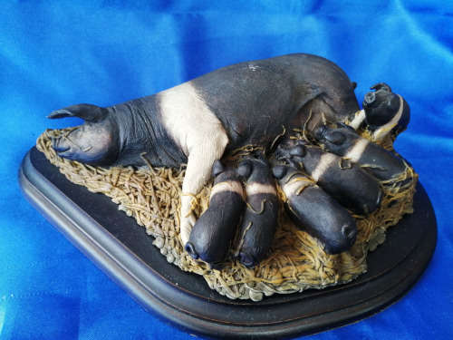Country Artists Mother Pig and Piglets large Figure on wooden base *