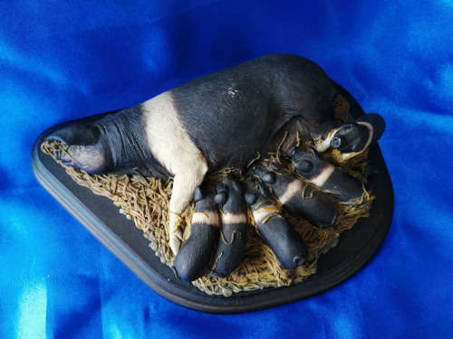 Country Artists Mother Pig and Piglets large Figure on wooden base *