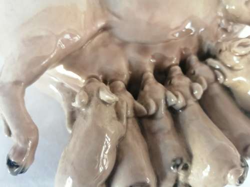 Heredities Sow and Piglets The Charm of Creamwear large