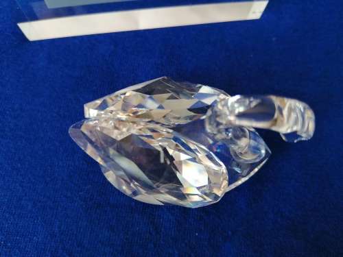Swarovski Crystal Swan Lock down special