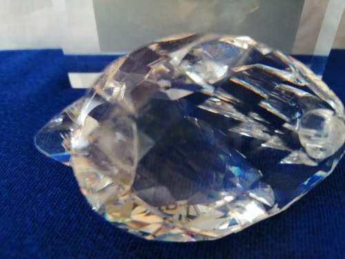 Swarovski Crystal Swan Lock down special