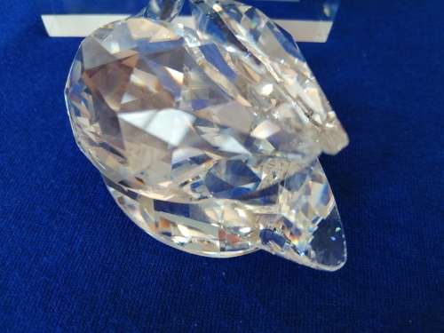 Swarovski Crystal Swan Lock down special  #