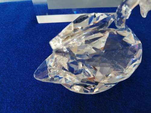 Swarovski Crystal Swan Lock down special  #