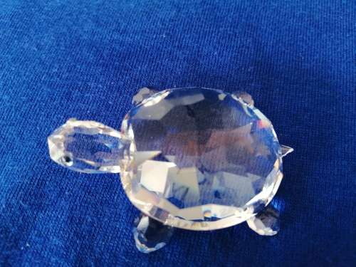Swarovski Crystal Turtle Lock down special #