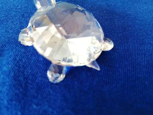 Swarovski Crystal Turtle Lock down special #