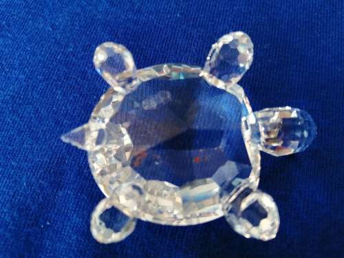 Swarovski Crystal Turtle Lock down special #