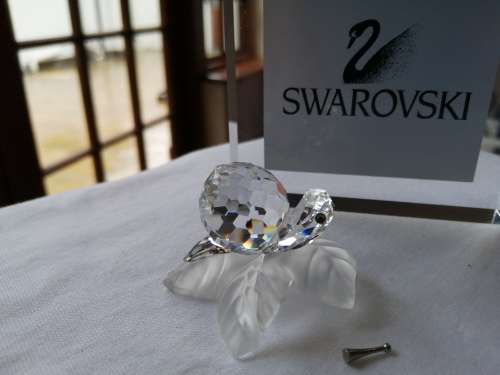 Swarovski Snail Lock down special *