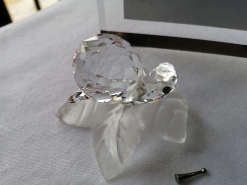 Swarovski Snail Lock down special *