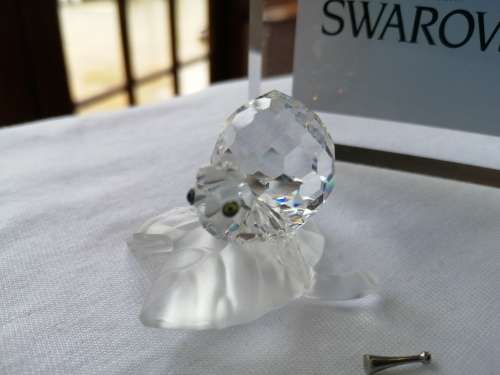 Swarovski Snail Lock down special *