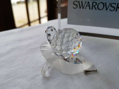 Swarovski Snail Lock down special *