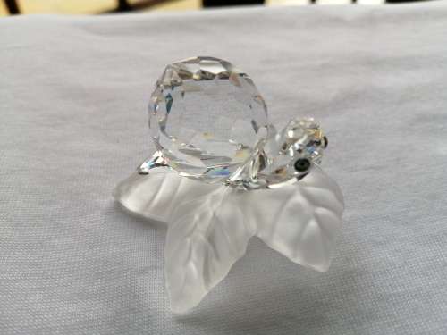 Swarovski Snail Lock down special *