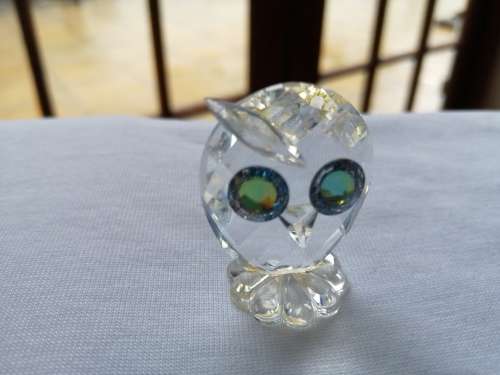 Swarovski Owl Lock down special *