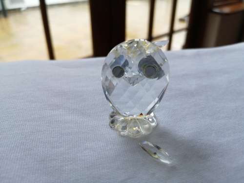 Swarovski Owl Lock down special *