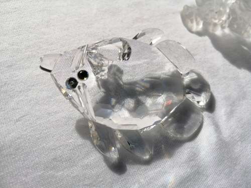 Swarovski Crystal Butterfly Fish Lock down special *