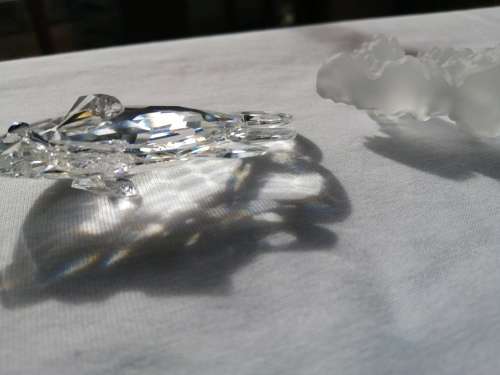 Swarovski Crystal Butterfly Fish Lock down special *