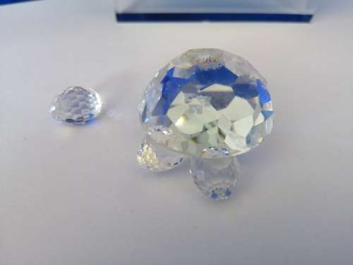 Swarovski Crystal Tortoise Lock down special #