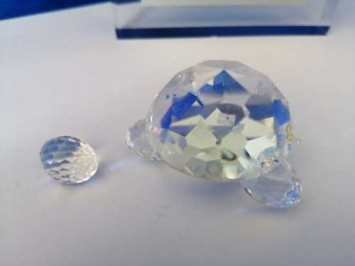 Swarovski Crystal Tortoise Lock down special #