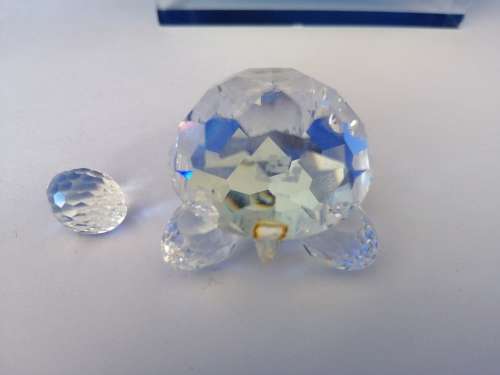 Swarovski Crystal Tortoise Lock down special #