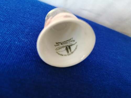 Bone China Thimble Birchcroft Pig and Piglets